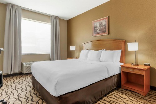 Comfort Inn & Suites Chesapeake - Portsmouth - image 50