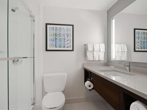Hilton Garden Inn Chicago Downtown/Magnificent Mile - image 7