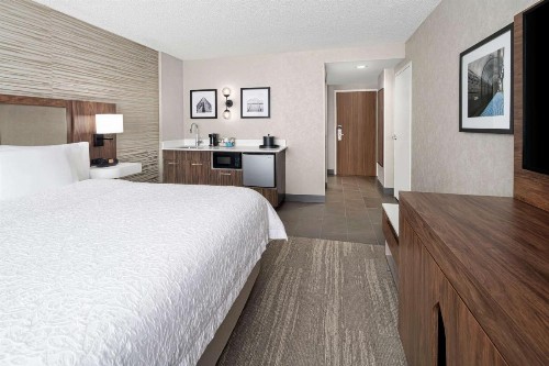 Hampton Inn & Suites Chicago-Downtown - image 50