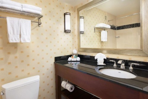Hilton Chicago O'Hare Airport - image 22