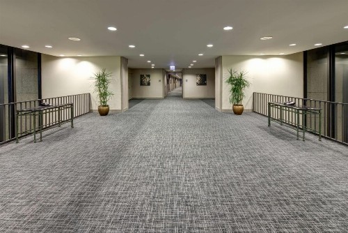 Hilton Chicago O'Hare Airport - image 27