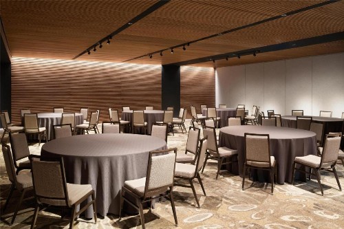 Hilton Chicago O'Hare Airport - image 31