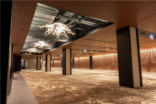 Hilton Chicago O'Hare Airport - image 38
