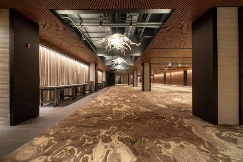 Hilton Chicago O'Hare Airport - image 47