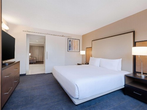 Embassy Suites Chicago - Downtown - image 28