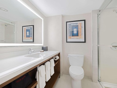 Embassy Suites Chicago - Downtown - image 29