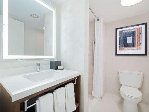 Embassy Suites Chicago - Downtown - image 32