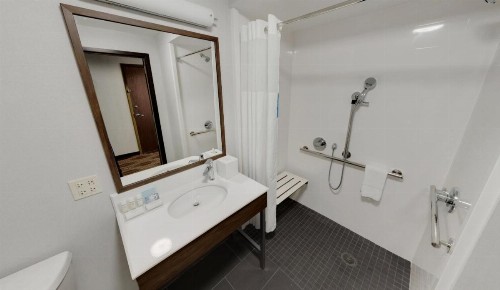 Hampton Inn Majestic Chicago Theatre District - image 33