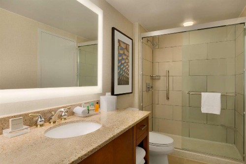 Hilton Chicago Magnificent Mile Suites - image 22