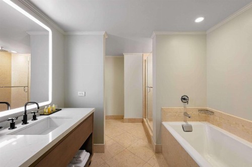 Royal Sonesta Chicago Downtown - image 30