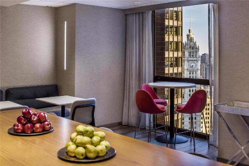 Hyatt Regency Chicago - image 31