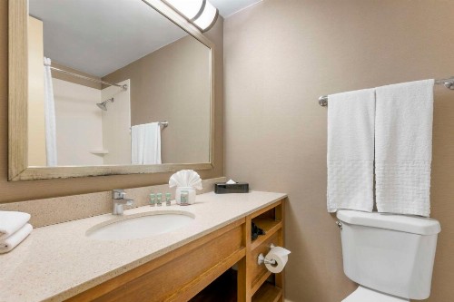 Best Western Grant Park Hotel - image 6