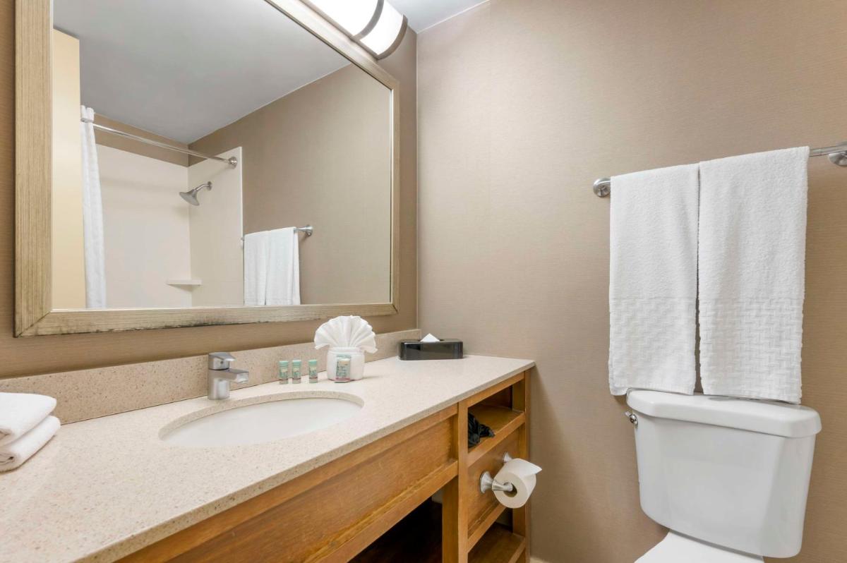 Best Western Grant Park Hotel - image 6