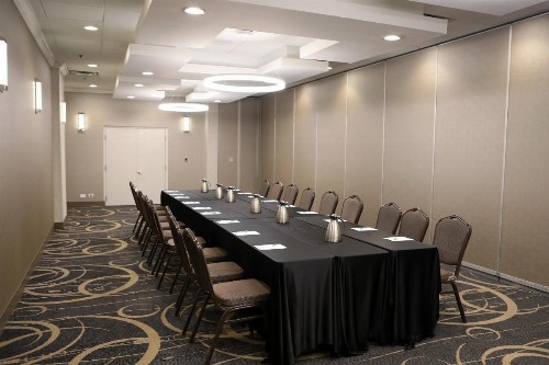 Holiday Inn O'Hare Area an IHG Hotel - image 25