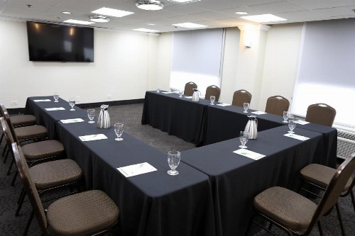 Holiday Inn O'Hare Area an IHG Hotel - image 31