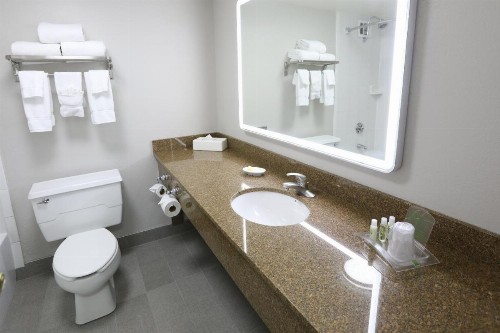 Holiday Inn O'Hare Area an IHG Hotel - image 35