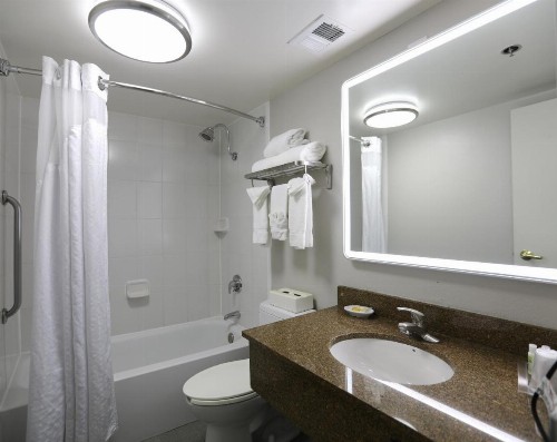 Holiday Inn O'Hare Area an IHG Hotel - image 36