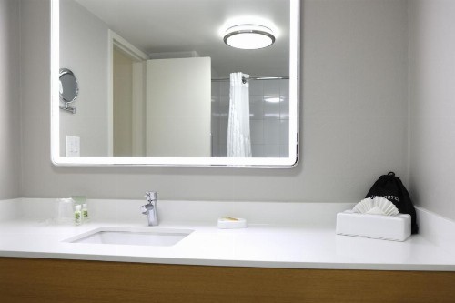 Holiday Inn O'Hare Area an IHG Hotel - image 39