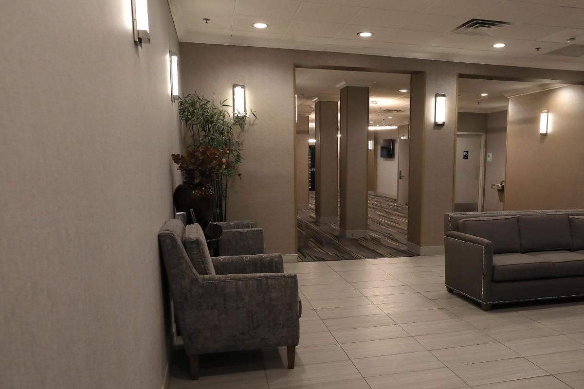 Holiday Inn O'Hare Area an IHG Hotel - image 4