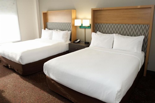 Holiday Inn O'Hare Area an IHG Hotel - image 46