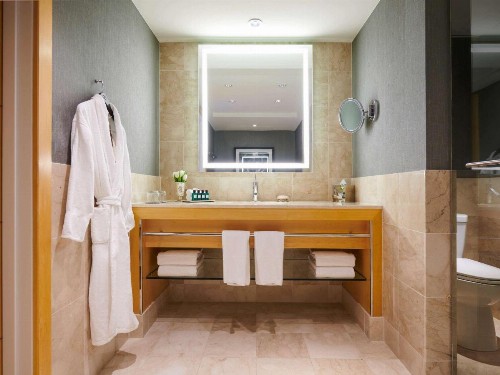 Sofitel Chicago Magnificent Mile - image 8