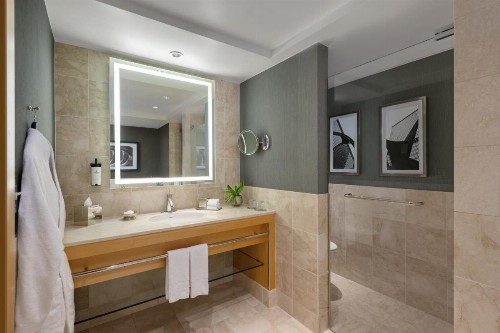 Sofitel Chicago Magnificent Mile - image 22