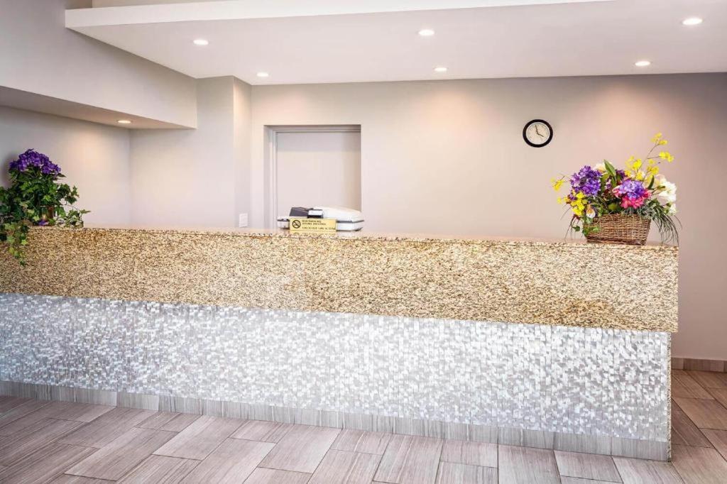 Chicago Lakeshore Hotel - image 4