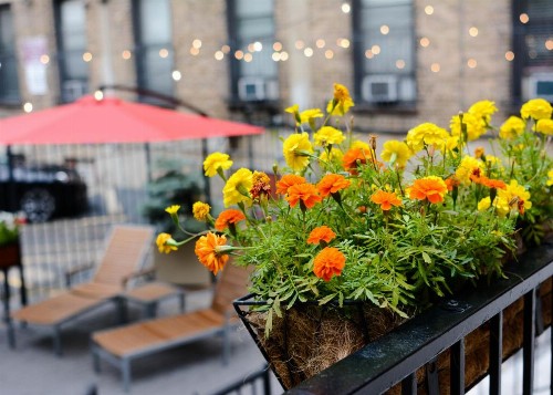 Chicago Getaway Hostel - image 26