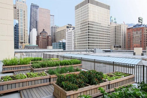 Chicago Marriott Downtown Magnificent Mile - image 23