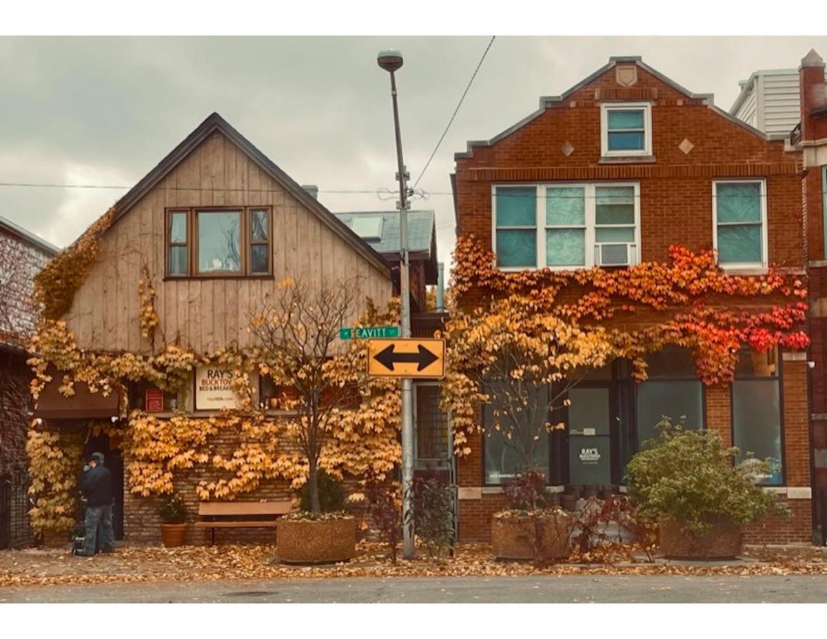 Ray's Bucktown Bed and Breakfast - image 2