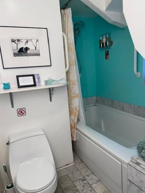 Ray's Bucktown Bed and Breakfast - image 48