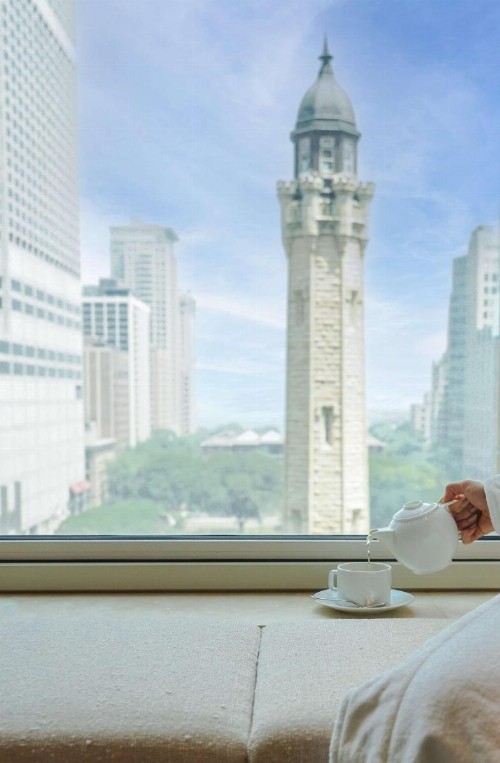Park Hyatt Chicago - image 35