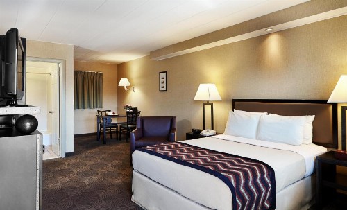 Carlton Inn Midway - image 24