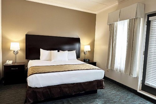 Chicago South Loop Hotel - image 13