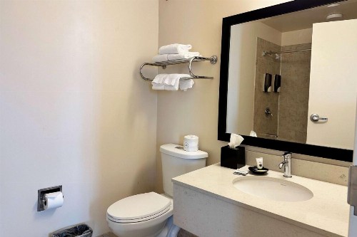 Chicago South Loop Hotel - image 27