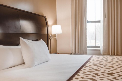 Chicago South Loop Hotel - image 39