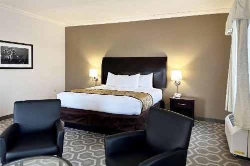 Chicago South Loop Hotel - image 8