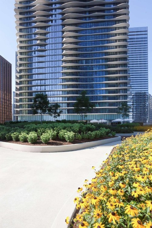 Radisson Blu Aqua Hotel Chicago - image 4