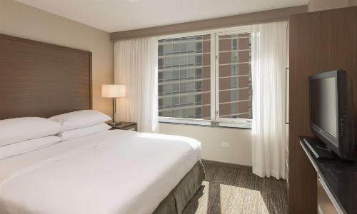 Embassy Suites Chicago Downtown Magnificent Mile - image 19