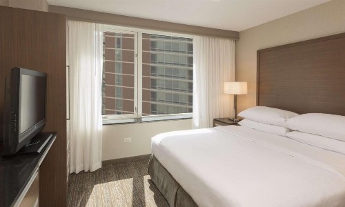 Embassy Suites Chicago Downtown Magnificent Mile - image 22
