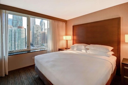 Embassy Suites Chicago Downtown Magnificent Mile - image 27