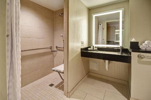 Embassy Suites Chicago Downtown Magnificent Mile - image 46