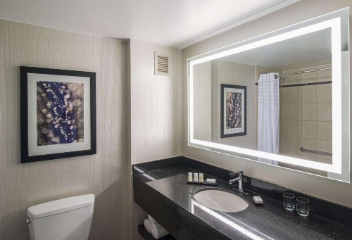 Embassy Suites Chicago Downtown Magnificent Mile - image 49