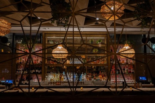 Godfrey Hotel Chicago - image 40
