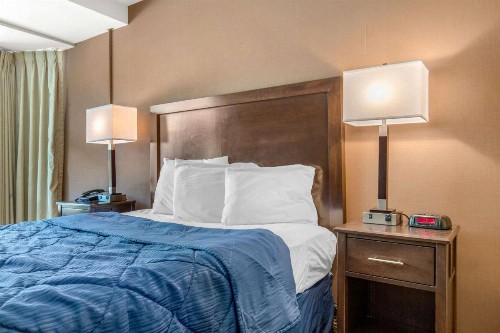 Rodeway Inn Chicago - image 11