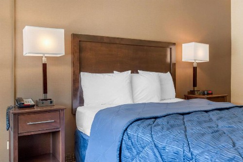 Rodeway Inn Chicago - image 14