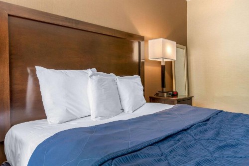 Rodeway Inn Chicago - image 18