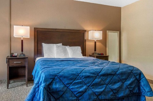Rodeway Inn Chicago - image 2