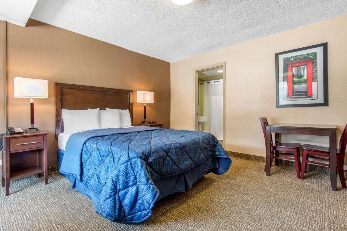 Rodeway Inn Chicago - image 5