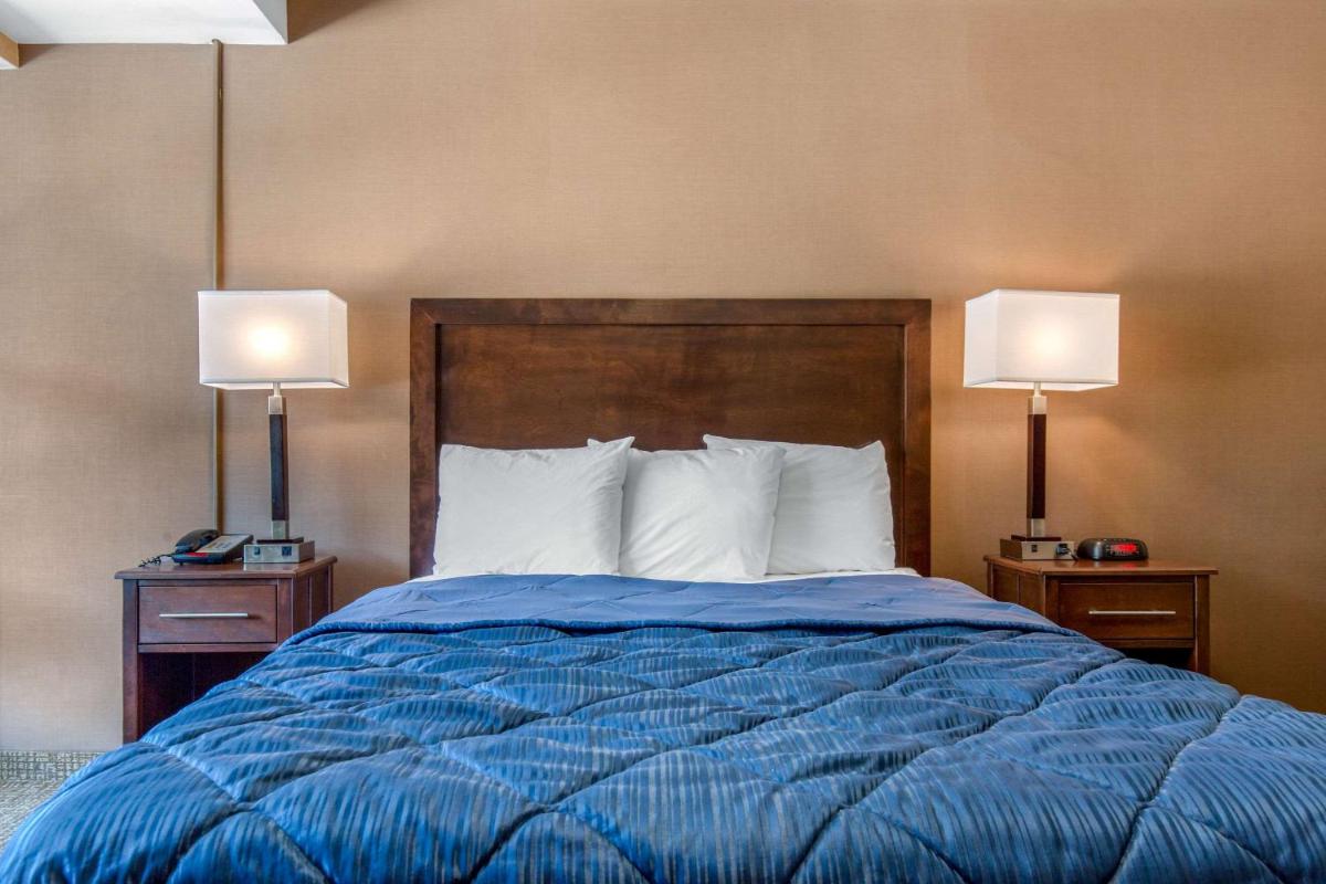 Rodeway Inn Chicago - image 7